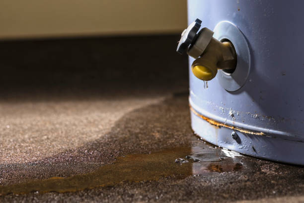 Best Basement water damage restoration  in Ramsey, NJ