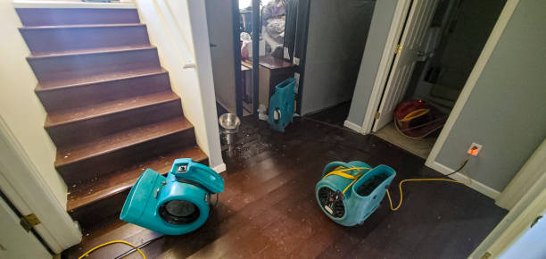 Best Water damage restoration near me  in Ramsey, NJ