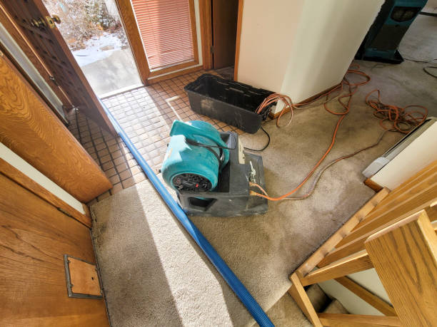 Best Carpet water damage restoration  in Ramsey, NJ