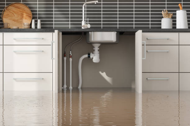 Best Water damage contractors near me  in Ramsey, NJ