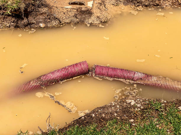 Best Flood restoration services  in Ramsey, NJ